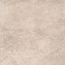 Плитка Stevol Madyson глянцева 59,5x59,5 см