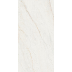 Плитка Stevol ST6121326P полірована 600х1200х9 мм Київ