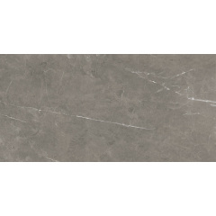 Плитка Stevol Tessino Grey Natural матовая 60х120 см Павлоград