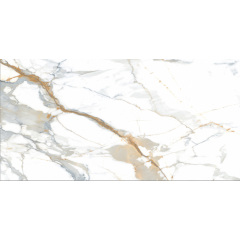 Плитка Stevol DP5194-120 Calacatta Premium 600х1200х9 мм Киев