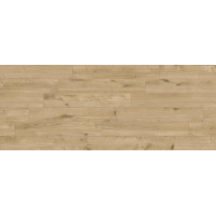 Плитка Stevol Miel In 19,4x120 см Київ