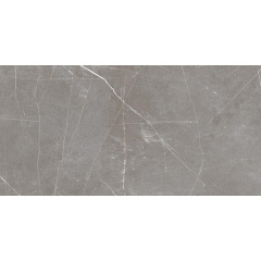 Плитка Stevol Status Gris MYR матовая 600х1200х9 мм Хмельницкий