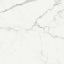 Плитка Stevol Calacatta Venato матовая 59,5x59,5 см Изюм
