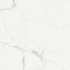 Плитка Stevol Calacatta Venato матовая 59,5x59,5 см Изюм