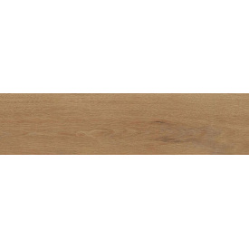 Плитка Allore Group Ecowood F PR NR Mat 1150x600x8,5 мм