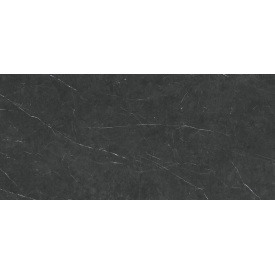 Плитка Stevol Tessino Black Natural матовая 60х120 см