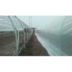Каркас теплиці "Округла 10х90" розміром 10х90х4.3м Виноградів