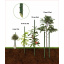Опори для рослин 6 мм 1 м (10шт) Рівне