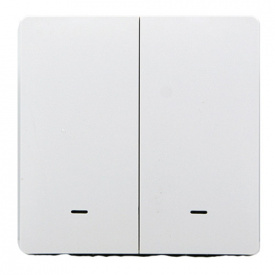 Розумна клавішна кнопка-вимикач Tervix Pro Line ZigBee Push Button (2 клавіші) (433021)