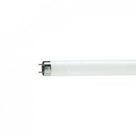 Лампа люмінесцентна TLD 18Вт/830 Philips