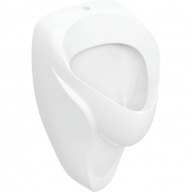 Пісуар Geberit Alex (502.905.00.1)