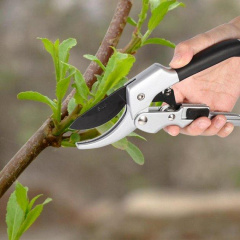 Секатор садовий Avangger AG-6006 200мм (3_02750) Коломыя
