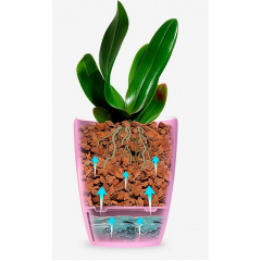 Горшок для орхидей Orchidea TWIN 3,3 л фиолетовый Santino Полтава