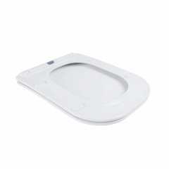 Унитаз-Компакт Qtap Nando Безободковый С Сидением Soft-Close Qt12221222Aw Ладан