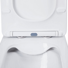 Унитаз-Компакт Qtap Nando Безободковый С Сидением Soft-Close Qt12221222Aw Ладан