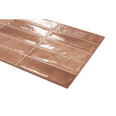 Плитка Ceramica Deseo EC.Pool Cotto 9х600х316 мм Токмак