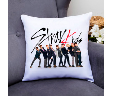 Подушка декоративная Кавун Группа Stray Kids 40x40 см (П000799)