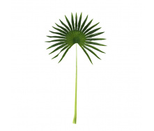 Искусственные листья Engard Fan Palm 98 см (DW-32)