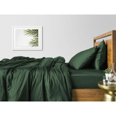 Семейный комплект Cosas GREEN SATIN CS1 2х160х220 см Зеленый Тернополь