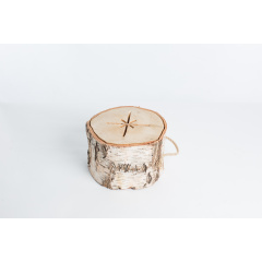 Пенек для костра Penyok Bonfire Log N1 Medium 4.3 кг (TC-M) Черкассы
