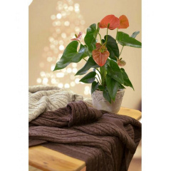 Вязаный плед Прованс SOFT 140х180 см Мокко (3040) Ворожба