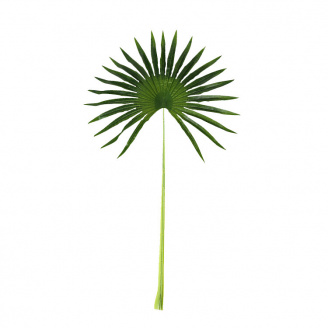 Искусственные листья Engard Fan Palm 98 см (DW-32)