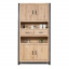 Шкаф для хранения в стиле LOFT (NS-2217) Вінниця