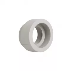 Муфта PPR Thermo Alliance 4"х4" (DSB127) Херсон