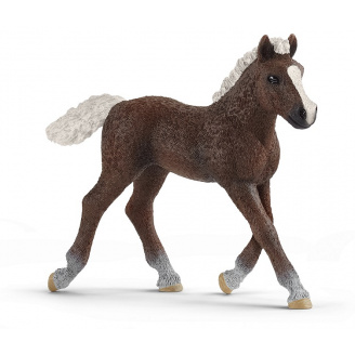 Игровая фигурка Schleich Шварцвальдский жеребенок 80х22х75 мм (6688020)