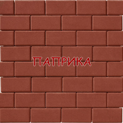 Тротуарная плитка Брусчатка 200х100 40мм кирпичик 20х10 4см цветная в ассортименте Ужгород