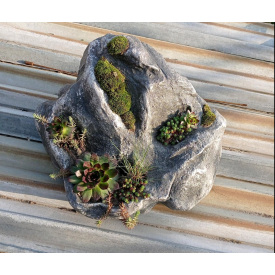 Валун из бетона с суккулентами и мхом