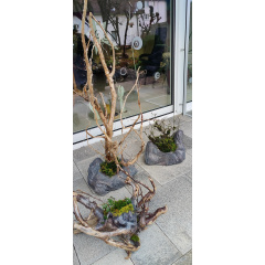 Мини клумба с натуральным декором Луцк