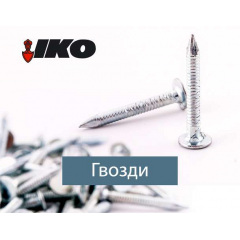 Цвях покрівельний кільцевий 3.1 x 30 К б/ц (уп 5 кг/1) Буча