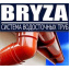Водосточная система Bryza (Бриза) Михайловка