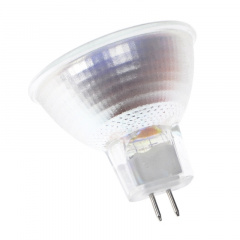 Лампа галогенная Fora Металл 50W Хром 100078 Київ