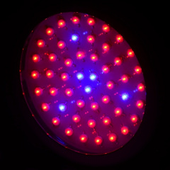 Бра LED фито для растений Brille 50W LED-46 Черный Ковель