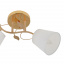 Люстра Brille 60W E27 Золотистый Стрий