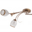 Люстра Brille Флористика 60W E14 Коричневый Токмак
