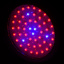 Бра LED фито для растений Brille 50W LED-46 Черный Ковель