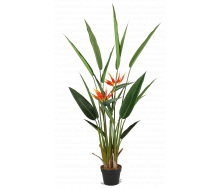 Искусственное растение Engard Strelitzia, 140 см (DW-09)