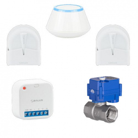 Комплект захисту від протікання на дві точки Salus WLS Smart STANDARD