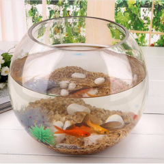 Ваза-акваріум Pasabahce Куля Botanica h-16 см 45068 Ізюм