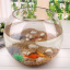 Ваза-акваріум Pasabahce Куля Botanica h-16 см 45068 Ізюм