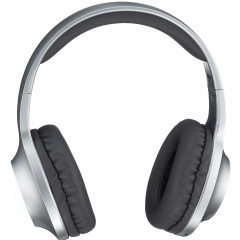 Гарнітура Panasonic RB-HX220BEE-S (6612085) Вільнянськ