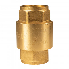 Клапан зворотній латунний Remi 3/4” Дніпро