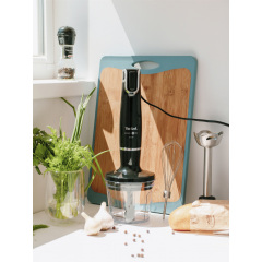 Занурювальний блендер Tefal HB943838 (6570741) Вараш