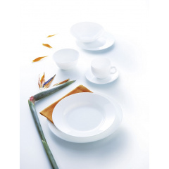 Салатник LUMINARC EVERYDAY (5846112) Одеса