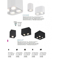 Точковий світильник TRIO BISCUIT (612900232) Дніпрорудне