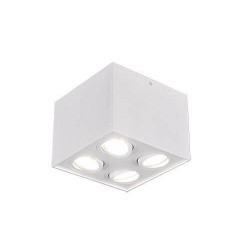 Точковий світильник TRIO BISCUIT (613000431) Дніпрорудне