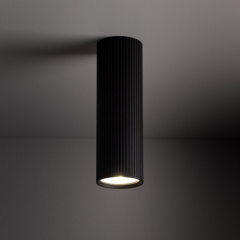 Точковий світильник TK Lighting Tune Чорний (TK10024) Буча